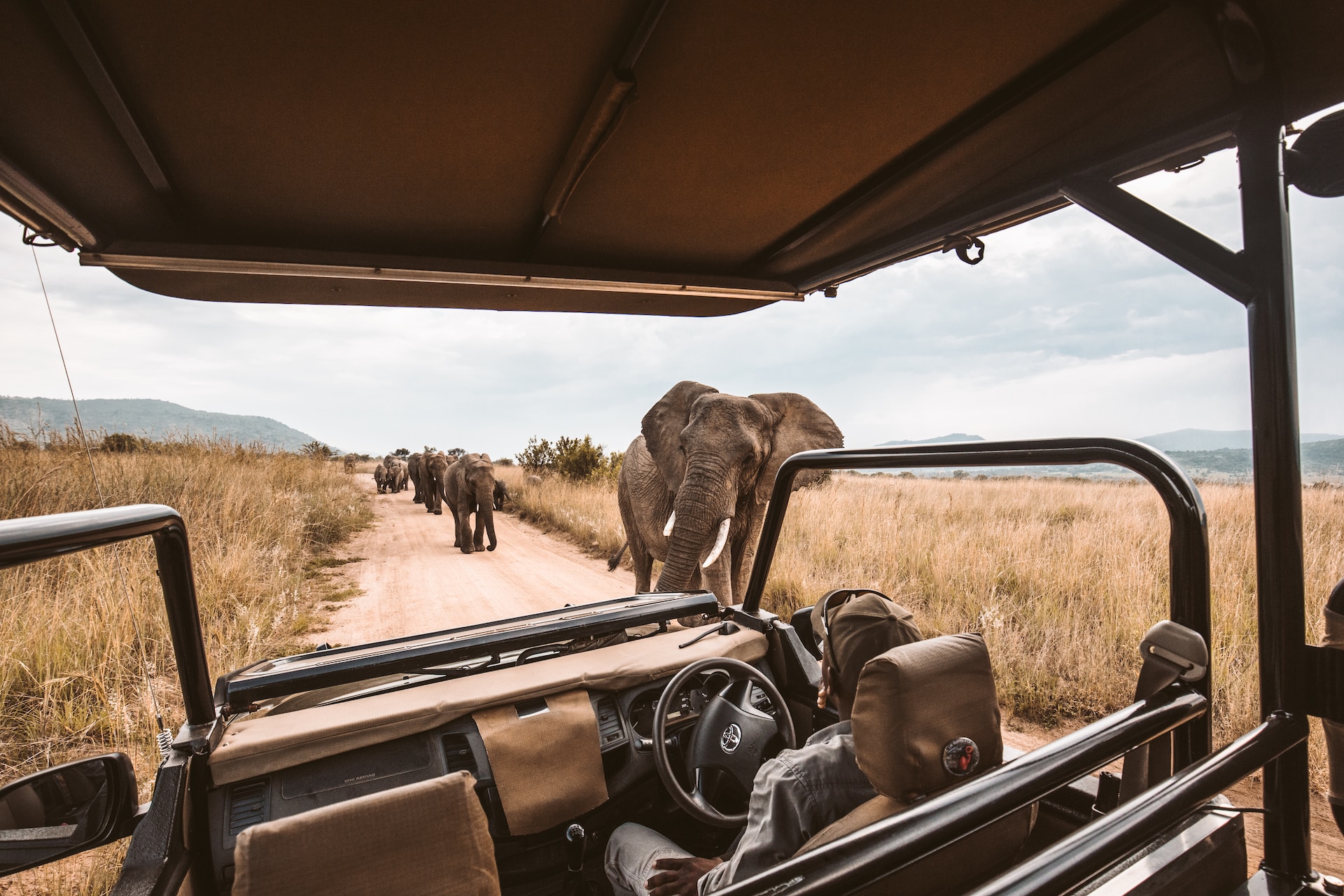 Safari Adventure in the Heart of Kenya