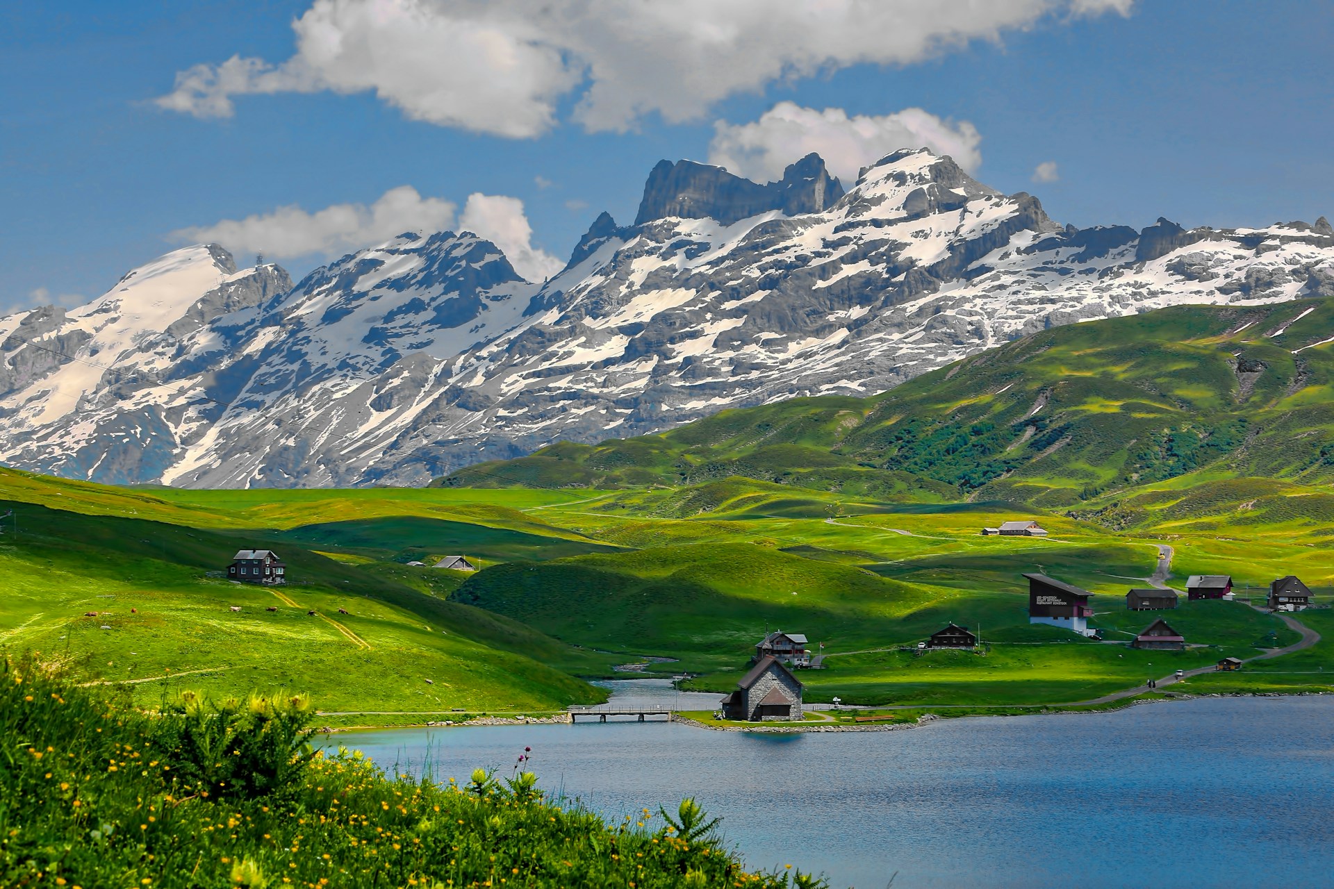 Trekking Through the Serene Valleys of Switzerland