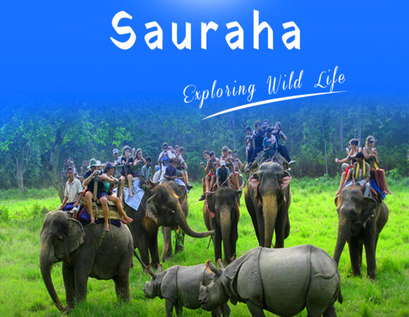 Sauraha